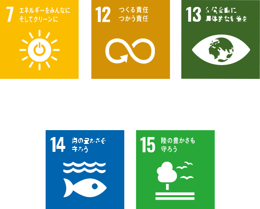 SDGs項目