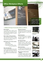 FPCO English