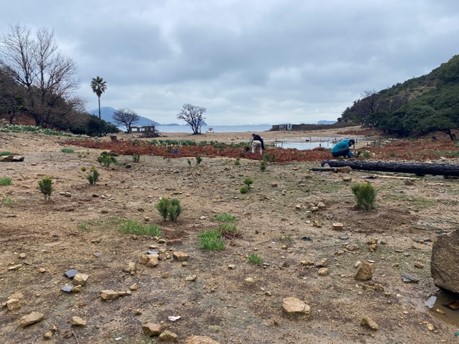 瀬戸内海宇治島クラブ2.jpg