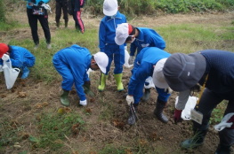 こが里山を守る会(茨城県) 活動の様子1