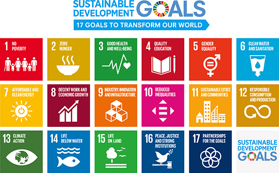 What are the Sustainable Development Goals (SDGs)?