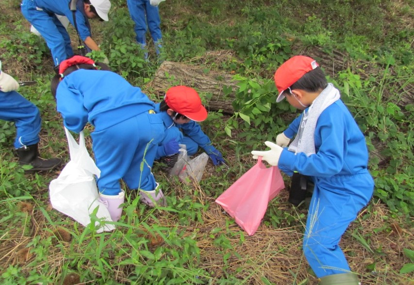 こが里山を守る会(茨城都)　活動