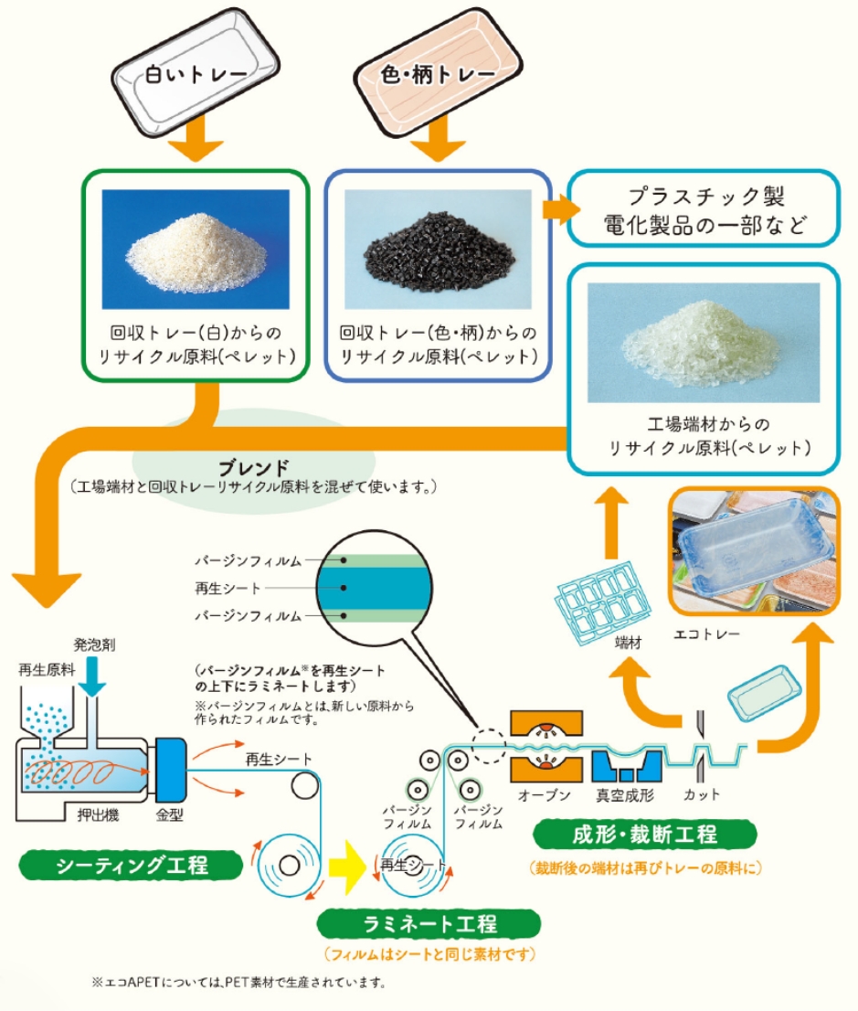 回収したトレーが、エコトレー®になるまで。