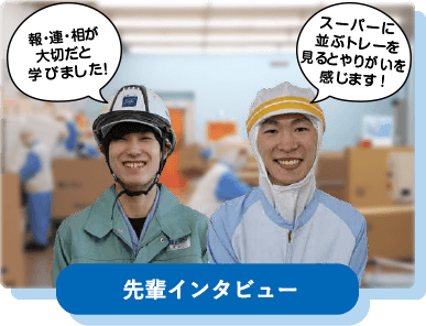 先輩インタビュー